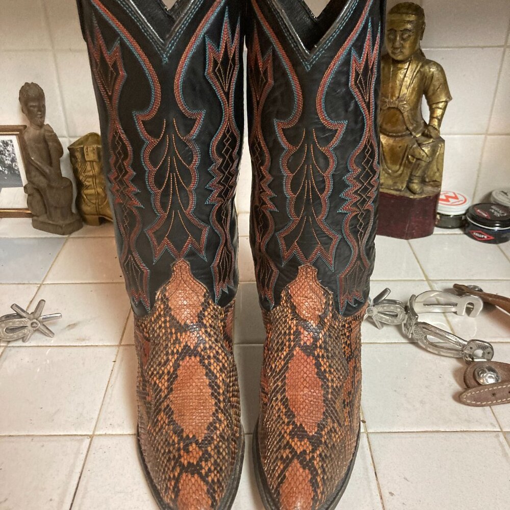 DAN POST SNAKE BOOTS